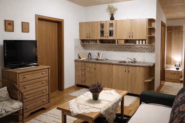 Veľké štúdio A3 - obytná časť s kuchynským kútom a televízorom